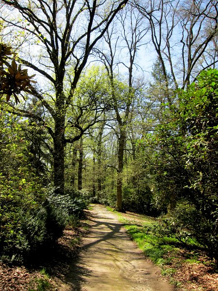 IMG_6640_1.jpg - Na 34. zasedání Mezivládního výboru pro světové dědictví UNESCO v Brazílii (srpen 2010) bylo potvrzeno, že Průhonický park, jedna z nejvzácnějších botanických zahrad a památek krajinářské architektury, je považován za součást světového dědictví ve smyslu Úmluvy o ochraně světového kulturního a přírodního dědictví.