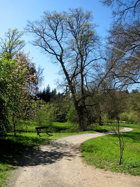 IMG_6652_1.jpg - Cesty lemují rozsáhlé údolní louky podél Botiče, jež vytváří místy přirozené meandry, které tvoří neodmyslitelnou součást Průhonického parku. Podél hlavního toku i jeho přítoků zůstala zachována dnes již velmi vzácná původní luční společenstva, zejména pcháčové louky, které byly v minulosti nejčastějším typem údolních luk v okolí Prahy. Na nejmokřejších místech převládá bažinný typ luk vysokých ostřic, sušší vyvýšená místa v údolích a hlavně na vyhlídkách porůstají louky ovsíkového typu.