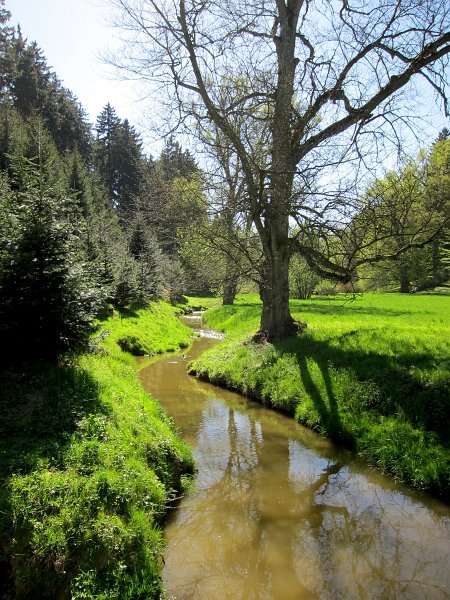 IMG_6668_1.jpg - Botič protéká celým parkem a představuje důležitý prvek, podmiňující modelaci terénu a přímo či nepřímo ovlivňující do určité míry i skladbu rostlinných společenstev. Je též důležitým prvkem estetickým, působícím svými přirozenými meandry i uměle vybudovanými přepady a jezy.