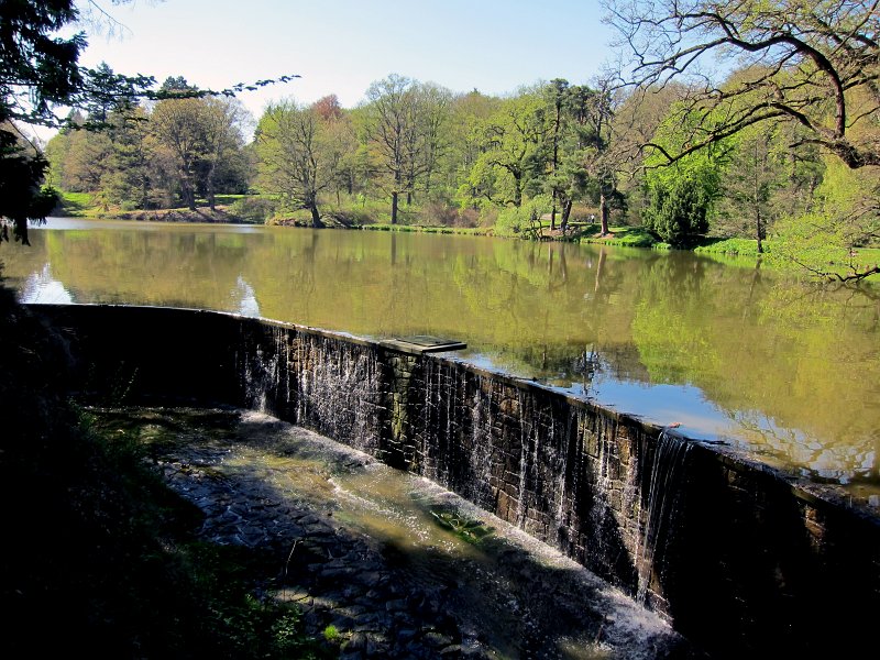 IMG_6686_1.jpg -                                Hrabě Silva Tarouca si byl vědom důležitosti vodního prvku v parkové scenérii a to nejen klidné, rozlehlé hladiny, ale i živé, bublající, hučící a padající zpěněné vody. Zvýšením stávající hráze u rybníka Labeška a vybudováním množství menších i větších hrází na Botiči se mu podařilo dát poměrně slabému potoku podobu živého, místy téměř horského potoka, který při vyšším průtoku např. v území mezi zámkem až alpinem skýtá nádherné pohledy do různých stran na několik hučících vodopádů.