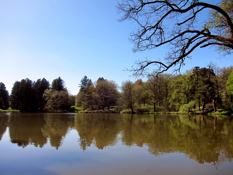 IMG_6704_2.jpg -  Park rozděluje silnice III/0032 na dvě části. Část za silnicí s rybníky Labeška a Bořín se někdy označuje jako obora.