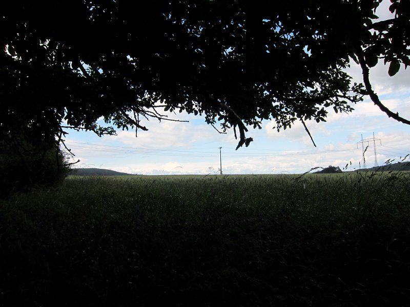 IMG_0766_1.jpg - Bouřka se přehnala během nekolika minut a z pod koruny stromu již vidíme azurové nebe....