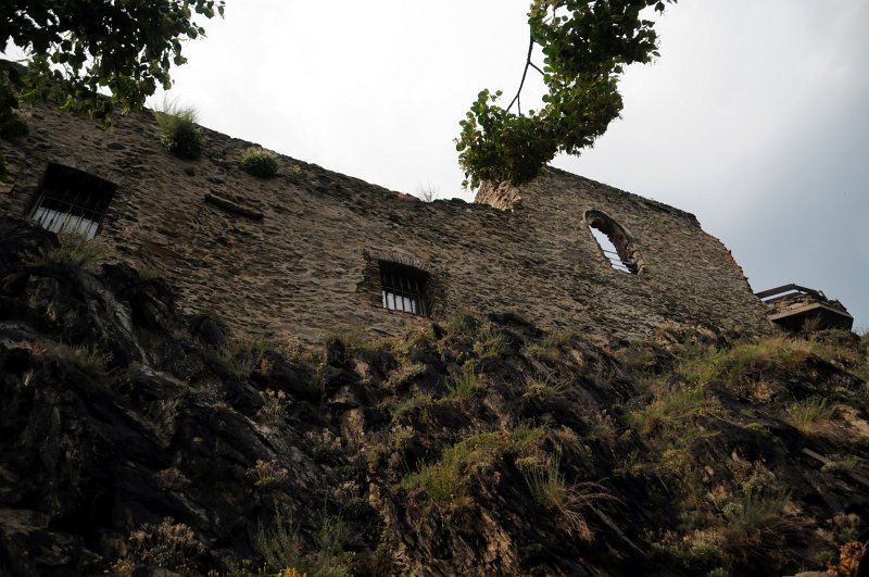 DSC_8101_1.jpg - Černá čedičová skála, jejíž vrchol zdobí hrad Střekov, padá do Labe z výšky sto metrů. Na jaře je strmý svah poset trsy zlatavých kvítků tařice skalní. Podle pověsti roste květina všude tam, kde se zachytily plavé vlasy krásné dcery hradního pána, jež ukončila život skokem z útesu. Tělo se v temných hlubinách řeky nikdy nenašlo. Povídá se, že je odnesli trpaslíci dovnitř do skály.