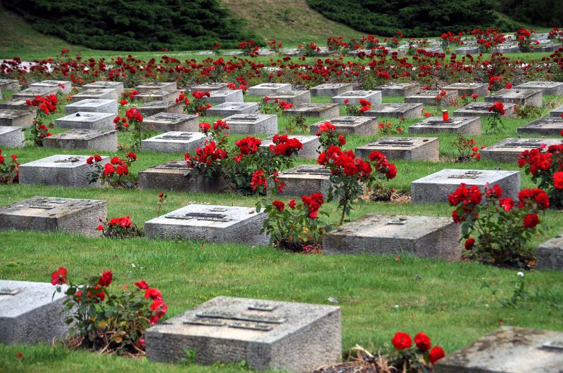 DSC_6686_2.jpg - Ostatní oběti jsou pohřbeny v hromadných hrobech, kterých se na Národním hřbitově nachází 5 a jsou označeny kamennými stélami. Celkem je zde pohřbeno asi 10 tisíc lidí (2386 v individuálních hrobech a zbytek v hromadných hrobech).