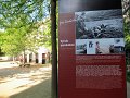 IMG_8095_1