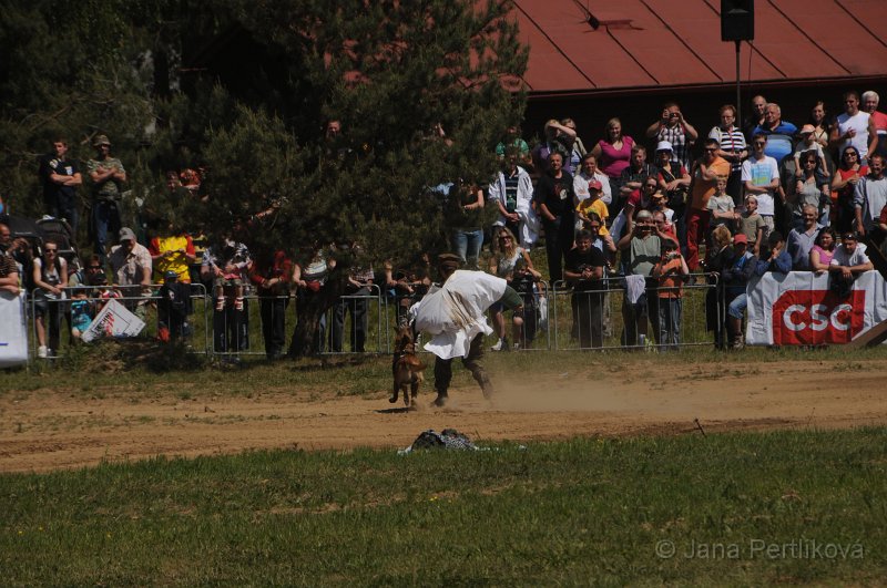 DSC_8649.JPG - Akční ukázka: Záchrana našich vojáků při útoku v Afghanistánu.