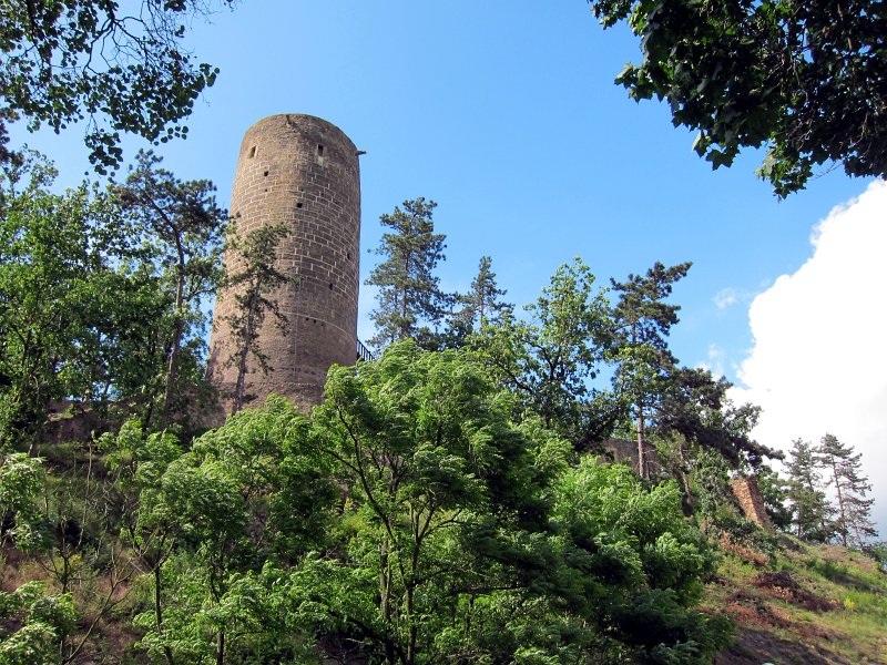 IMG_1106_1.jpg - Hrad byl postaven na poměrně nízkém, úzkém, ale strmém posledním výběžku křemencového valu, jímž končí vyšší a dosti strmý horský hřbet, táhnoucí se od vsi Hředle. Do hradu se vstupovalo od východu jednoduchou branou, která byla chráněna okrouhlou věží, asi 13 m vysokou. Na ni navazovala hradební zeď, která v protáhlém oválu obklopovala hrad na jeho severní, západní i východní straně.