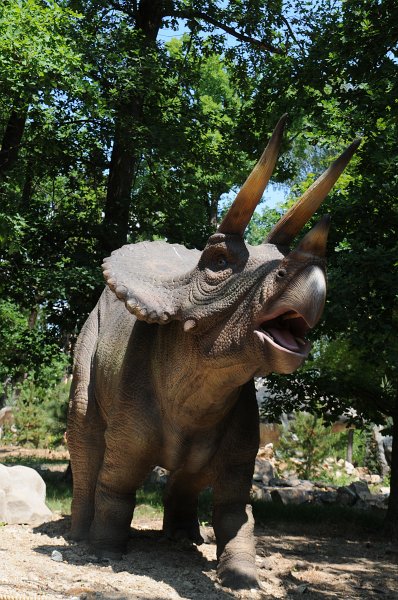 DSC_4261.JPG - Dinopark