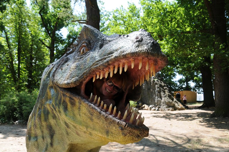 DSC_4283.JPG - Aneb kdo si hraje, nezlobí