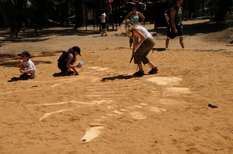 DSC_4287.JPG - Hra na paleontology...