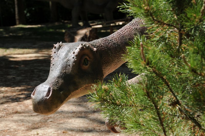 DSC_4292.JPG - Dinopark