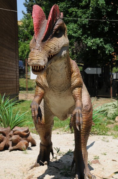 DSC_4311.JPG - Dinopark