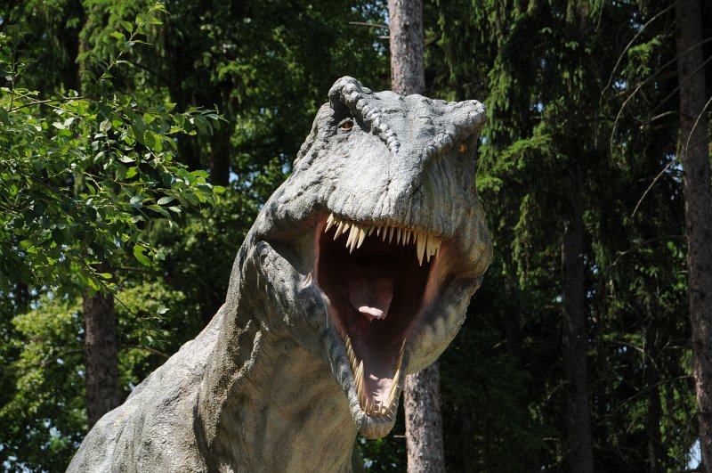 DSC_4315.JPG - Dinopark