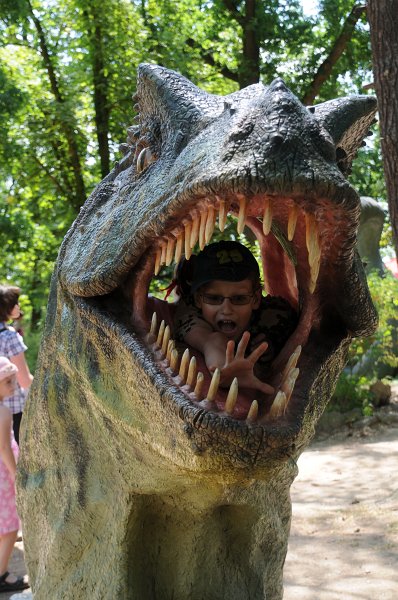 DSC_4333.JPG - Dinopark