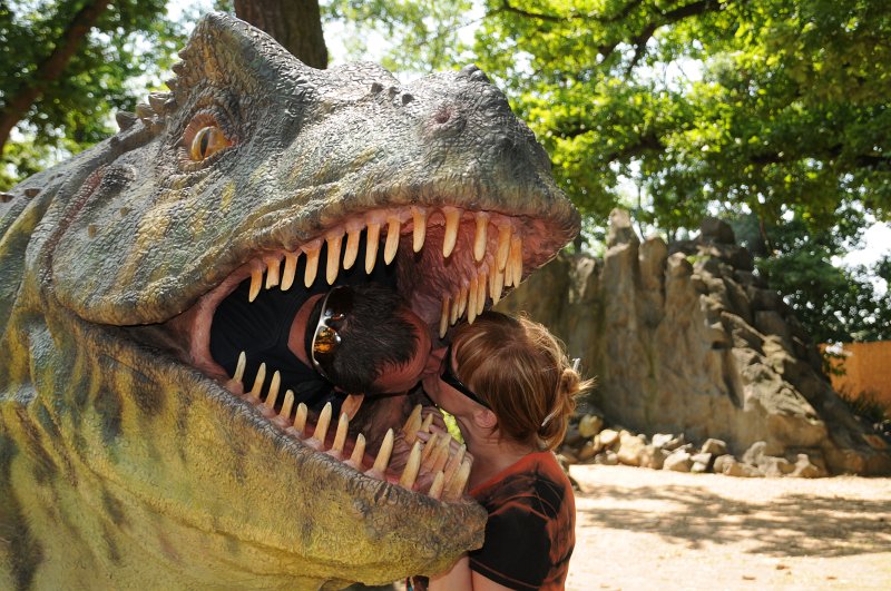 DSC_4367_1.jpg - Dinopark