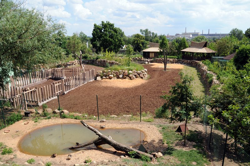 DSC_4603_1.jpg - Výběh pro nosorožce