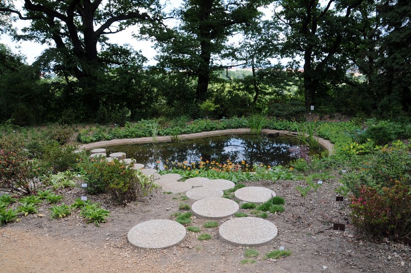 DSC_4638_1.jpg - Šówa-en, Japonská zahrada