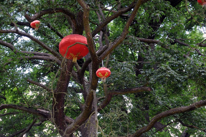 DSC_4640_1.jpg - Šówa-en, Japonská zahrada