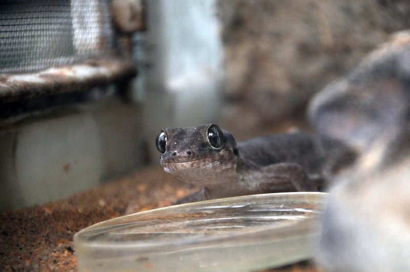 DSC_4801_1.jpg - Ty máš kukadla.....