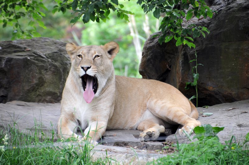 DSC_4874_1.jpg - To je ale nudáááá..