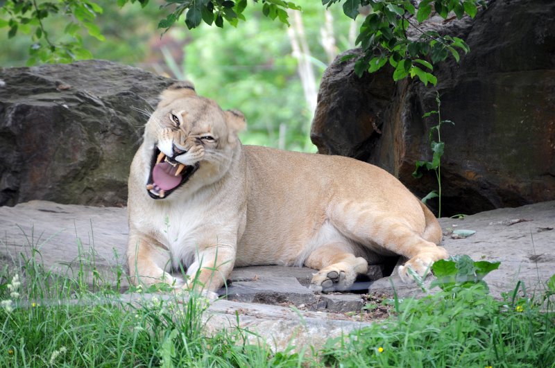 DSC_4875_1.jpg - Tak tahle fotka se nepoštěstila mně....