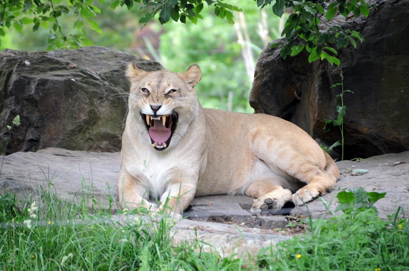 DSC_4878_1.jpg - Tomu říkám úsměv