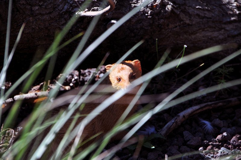 DSC_6284_1.jpg