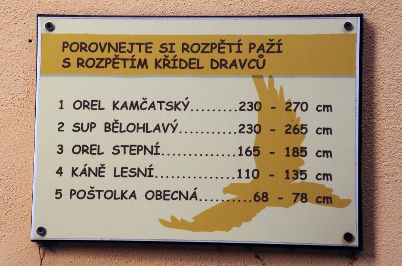 DSC_0366_1.jpg - Děti (i dospělí) si mohou snadno porovnat k jakému ptáku se přirovná rozpětí jejich ručiček.