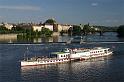 IMG_7556