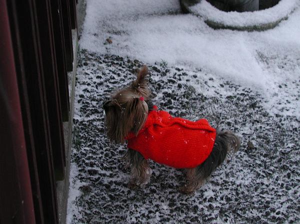 2001.12.16.JPG
