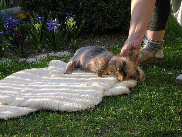 2003.04.14_2.JPG