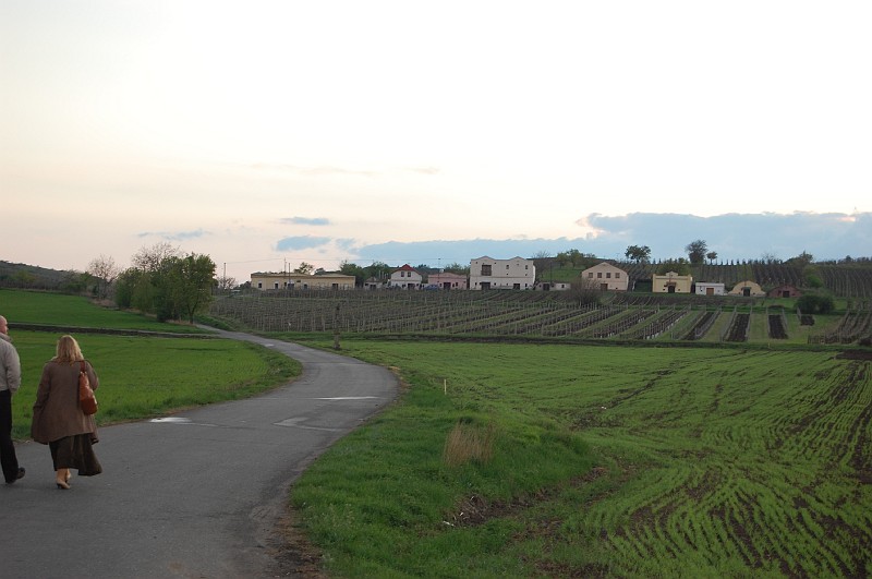 DSC_0050.JPG