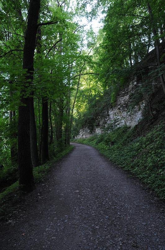 DSC_8348.JPG